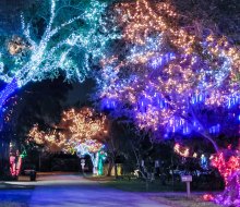 The only thing better than one home's Christmas light display are LOTS of neighborhood lights! Photo courtesy of Enchanted Place North of Miami Facebook page.