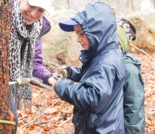 February means it's time to go maple sugaring with Connecticut kids, where tree-tapping yields a sweet reward! Photo courtesy of the Stamford Nature Center