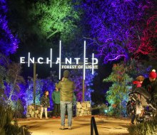 Enchanted: Forest of Light. Photo by Kathryn Rapier, courtesy of the event.