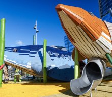 Pier 26 in Hudson River Park has added a brand-new, marine-science themed playground to the waterfront green space. Photo courtesy of Hudson River Park