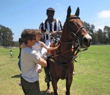 Meet the horses after the (free) polo matches at Will Rogers State Park. 