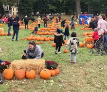 Governors Island’s annual pumpkin patch, Pumpkin Point, returns with thousands of pumpkins and fall-themed decorations arranged across the island’s historic Nolan Park. Photo by Janet Bloom