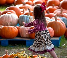 Find the best pumpkin patches near Atlanta with our guide to the best things to do this fall near Atlanta with kids.
