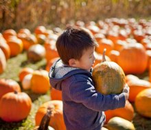 Orlando pumpkin patches serve as great backdrops for fall family photos!