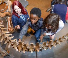 The Discovery Squad at AMNH is a unique tour program designed for families affected by autism spectrum disorders. Photo by R. Mickens for AMNH