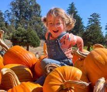 Fall into pumpkin season at Rancho Siempre Verde Christmas Tree and Pumpkin Farm. Photo courtesy of the venue