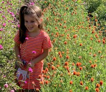 Bring the family to pick buckets of flowers at Brittany Hollow Farms. Photo courtesy of the farm  