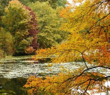 Rockefeller State Park Preserve offers a rainbow of fall foliage to take in during the autumn.