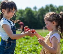 There is a sweet crop of fun things to do in Connecticut this weekend! Strawberry Season photo courtesy of Canva