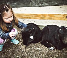Enjoy quality time with the animals at the Suffolk County Farm and Education Center.