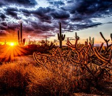 Enjoy the stunning beauty of Scottsdale, Arizona. Photo by Robert Murray via Unsplash