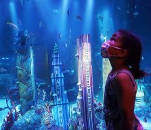 Take in an array of sea creatures at Sea Life's Sharks Fifth Avenue Exhibit where familiar landmarks get an undersea makeover. 