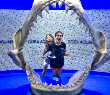 Head overseas to breathtaking Seoul, South Korea and make a stop at the Coex Aquarium. Photo by Diana Kim