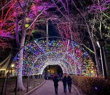 Take a stroll through the Twinkle Tunnel at Six Flags Great Adventure's Holiday in the Park. Photo courtesy of Six Flags