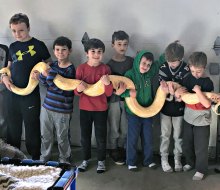 Let the New England Reptile Show prove snakes can make fun party animals! Photo by author
