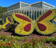 Celebrate SPRING! Festival at Callaway Gardens runs through the end of April with brilliant displays of flowers.  Photo by Rebecca Leffler