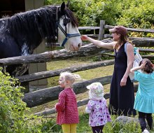 Have some amazing family experiences visiting Stamford with kids! Photo courtesy of the Stamford Arts & Nature Center