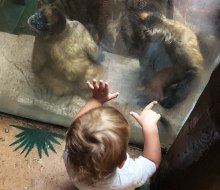 Indoor exhibits let kids get up close with animals in their habitats.