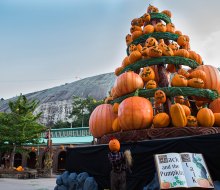 Stone Mountain Pumpkin Festival runs weekends September 15-October 29. Photo courtesy Stone Mountain Park