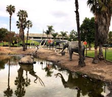 The La Brea Tar Pits are one of the  most famous fossil discovery spots in the world.