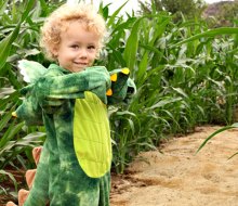 The Pumpkin Factory's Live Oak Canyon Corn Maze is fun for kids and dragons.
