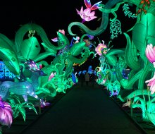 The Tianyu Lights Show lets visitors experience an enchanting night walk at Citi Field.