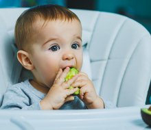 Baby-led weaning has become a popular method of feeding little ones their first foods. 
