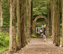 Roam the the cedar walk and gardens at Caramoor for a free, fun outing. Photo by Gabe Palacio