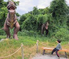 Come face-to-face with T. rex and other fearsome, live-sized dinosaurs at Field Station: Dinosaurs in New Jersey's Overpeck County Park. Photo by Katherine Dhurandhar
