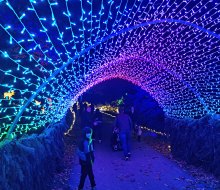 Journey through illuminated tunnels at Lumina - A Magical Lights Experience at Harvest Moon Farm & Orchard.  Photo by the author