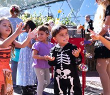 Score treats from participating stores at Ridge Hill Mall's trick-or-treating event. Photo courtesy of Ridge Hill