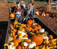 Pierson's Farm offers a pumpkin patch and plenty more fall fun. 