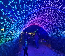 Wander through more than half a million lights at Harvest Moon's Festival of Lights in North Salem. Photo courtesy of the festival