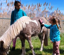 The FASNY Museum of Firefighting hosts Mini Horse Mania, where kids can cozy up to cute mini horses. Photo courtesy of FASNY