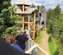 Take a Wild Walk at Tupper Lake's Wild Center for a completely new view of New York state's forest. Photo by Mommy Poppins