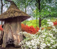 The Tulip Treehouse at Winterthur is a  location right out of The Hobbit. Photo courtesy of Bob Lietch for Winterthur Garden