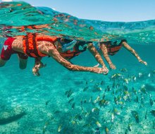 With lush reefs and crystal-clear waters,  Xcaret is a fabulous place to snorkel. Photo courtesy of Xcaret Parks