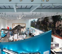 Yale University's Peabody Museum reopens after a stunning renovation, and admission is free! Photo  courtesy of the Peabody Museum, Yale University.