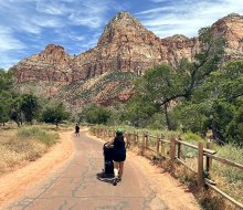 A trip to Zion offers many opportunities for families to explore, learn, and connect with the park.