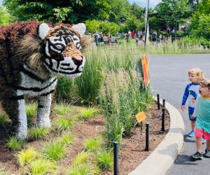 Our 100 Best Family Vacation Destinations: Franklin Park Conservatory in Columbus, OH