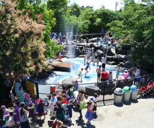 Brooklyn Bridge Park's Water Lab doesn't require admission