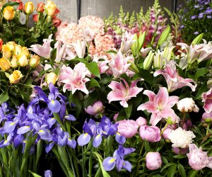 100 things to do in NYC with Kids: Flowers in the flower district