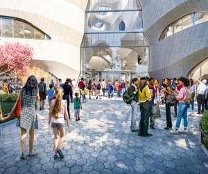 Richard Gilder Center opens in NYC in 2023 at the American Museum of Natural History
