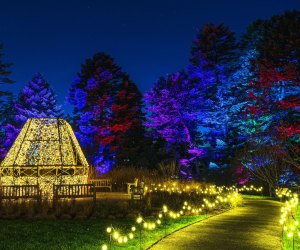 Holiday activities and Christmas events in NYC: NYBG's Glow