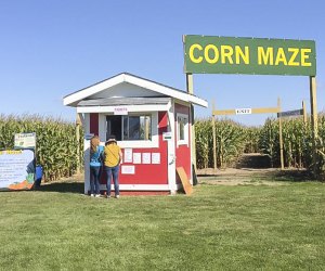 Corn mazes near Chicago: Pearce's Farm Stand