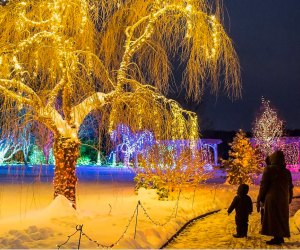 Walk through thousands of shimmering holiday lights, then warm up by the fire with s'mores, hot cocoa, or an adult beverage. Photo courtesy of the Tower Hill Botanic Garden