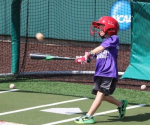 Houston Cougar Baseball Camps Best Baseball Summer Camps in Houston