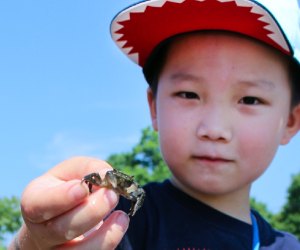 Photo of child holding a small crab at Connecticut Aquarium