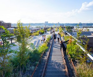 Things to do in Midtown Manhattan with kids: The High Line