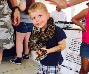 Birthday party entertainer Texas Snakes